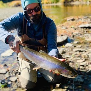 Meet your Posher, Aaron